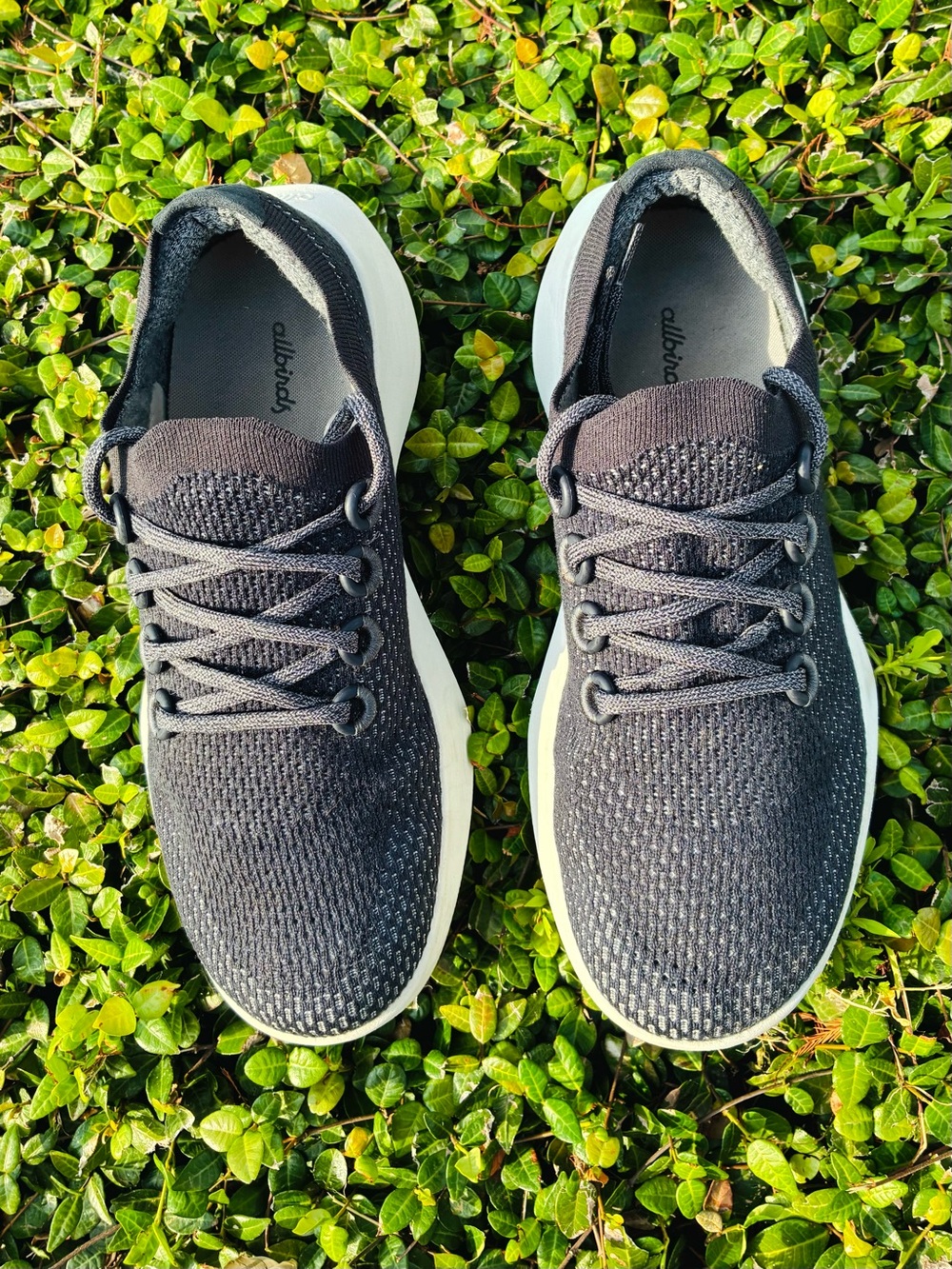 allbirds Men's Charcoal Knit Lace-Up Sneakers with White Sole